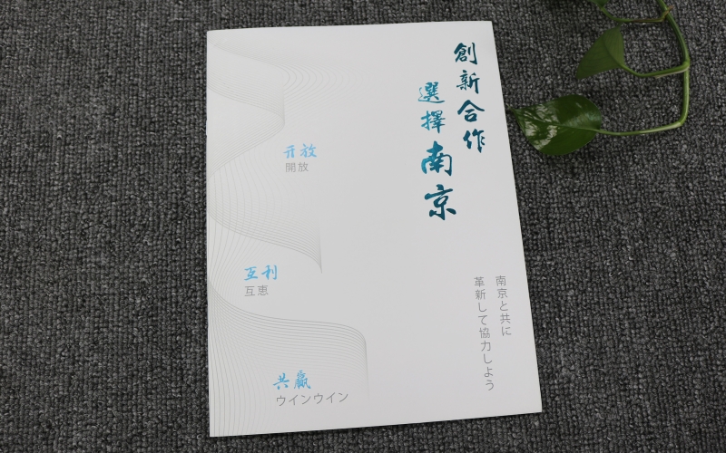 投資南京藝術(shù)畫冊(cè)印刷